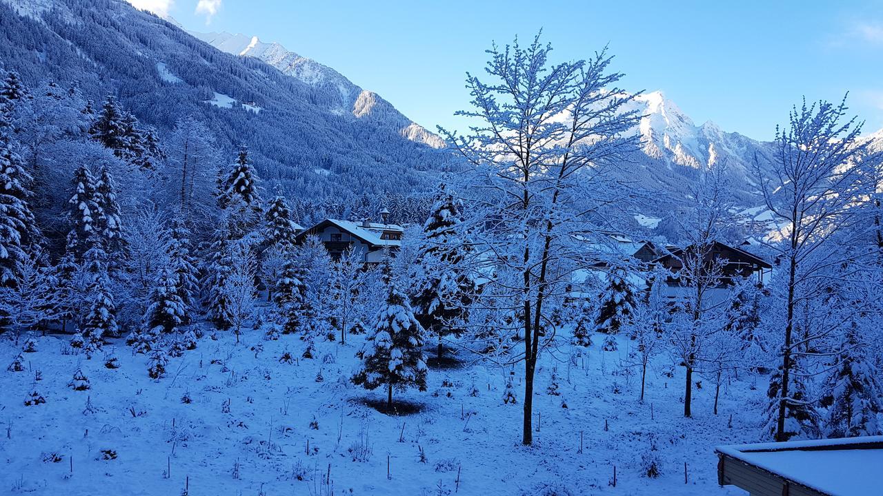 Chalet Amadeus Mayrhofen Zillertal Tirol Екстериор снимка